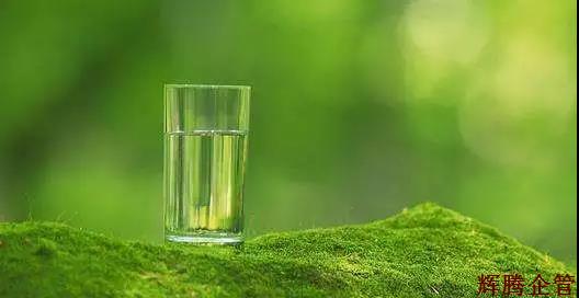 绿茶.jpg