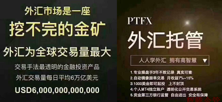 挖不完的金矿，可托管投资.fw.png