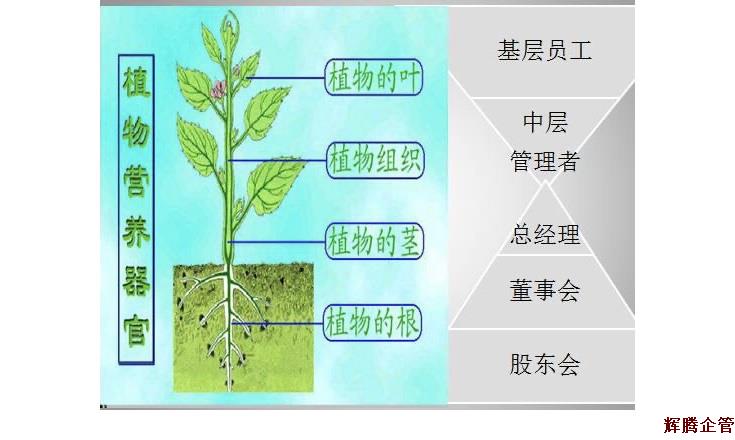 企业与树.jpg